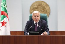 5 قوانين تعكس رؤية اصلاحية متكاملة تحت قيادة الرئيس تبون 5 قوانين تعكس رؤية اصلاحية متكاملة تحت قيادة الرئيس تبون