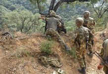 دفاع: القضاء على 4 إرهابيين بتبسة دفاع: القضاء على 4 إرهابيين بتبسة