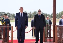 تبون يؤكد تضامن الجزائر واستعدادها للوقوف إلى جانب الشعب اللبناني تبون يؤكد تضامن الجزائر واستعدادها للوقوف إلى جانب الشعب اللبناني