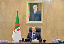 الحكومة تدرس أوراق الطريق 2026-2028 لـ9 قطاعات الحكومة تدرس أوراق الطريق 2026-2028 لـ9 قطاعات