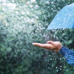 نشرية خاصة: أمطار ورياح قوية عبر عدة ولايات نشرية خاصة: أمطار ورياح قوية عبر عدة ولايات