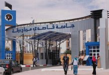 اعتماد نموذج ذكاء اصطناعي جزائري في منصة عالمية اعتماد نموذج ذكاء اصطناعي جزائري في منصة عالمية
