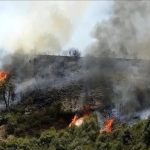 الجزائر تحشد إمكاناتها لإخماد 9 حرائق غابات في 7 ولايات الجزائر تحشد إمكاناتها لإخماد 9 حرائق غابات في 7 ولايات