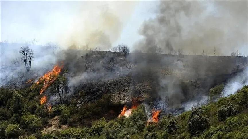 الجزائر تحشد إمكاناتها لإخماد 9 حرائق غابات في 7 ولايات الجزائر تحشد إمكاناتها لإخماد 9 حرائق غابات في 7 ولايات