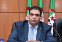 جاهزية الجيش جدار منيع أمام مخططات استهداف الجزائر جاهزية الجيش جدار منيع أمام مخططات استهداف الجزائر
