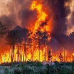 ارتفاع حصيلة ضحايا حرائق الجزائر إلى 73 قتيلاً ارتفاع حصيلة ضحايا حرائق الجزائر إلى 73 قتيلاً