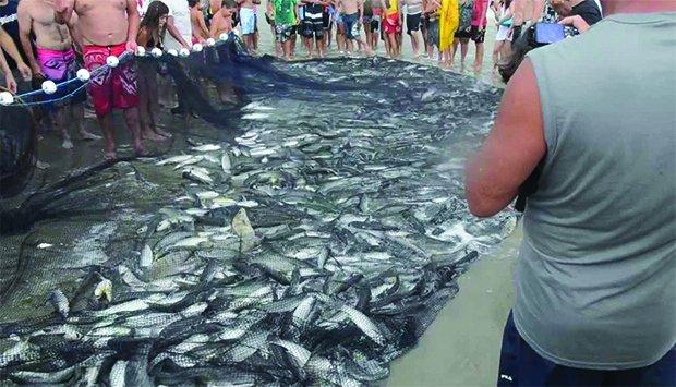 Trawling off the coast drops in penalties