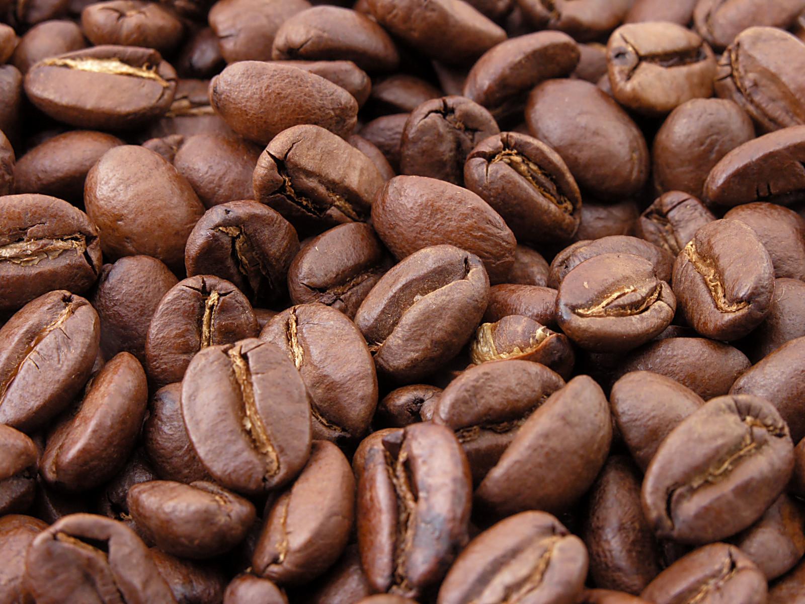 Producers from Golungo Alto put 300 tons of coffee on the market