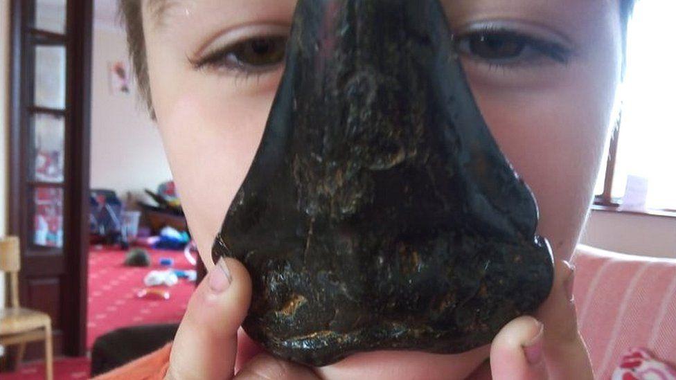 Boy, six, finds giant megalodon shark tooth on Bawdsey beach