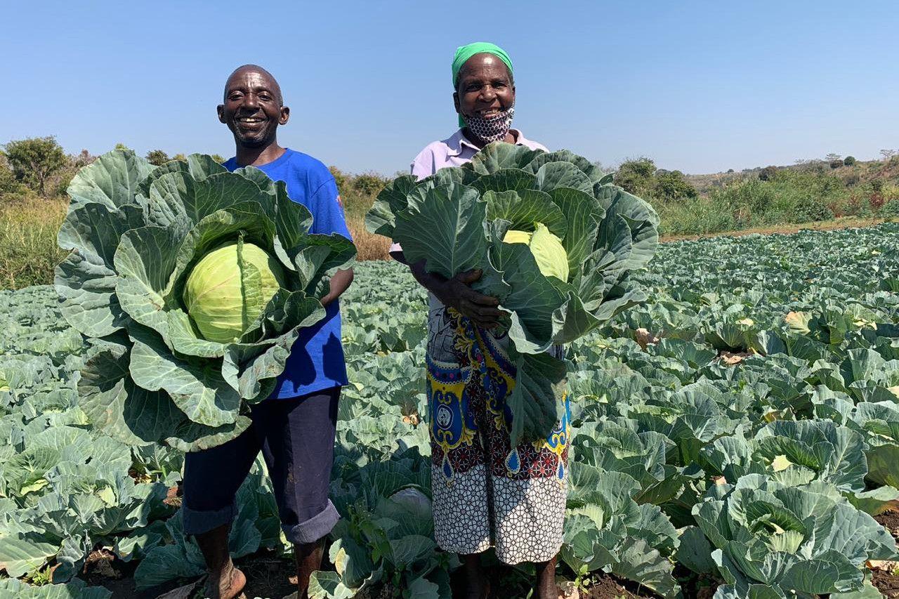 FADA finances farmers in 15 billion kwanzas FADA finances farmers in 15 billion kwanzas
