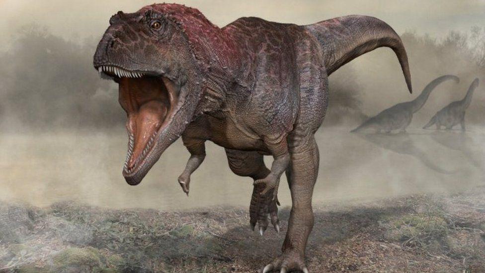 Dinosaur finding hints at why T-rex had small arms Dinosaur finding hints at why T-rex had small arms