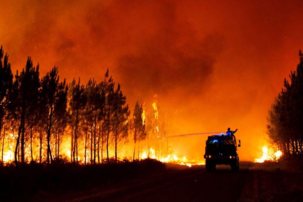 In pictures: Heatwaves, drought and wildfires