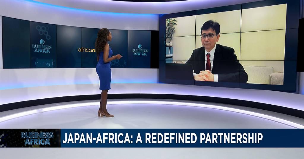 Japan-Africa: A redefined partnership [Business Africa]