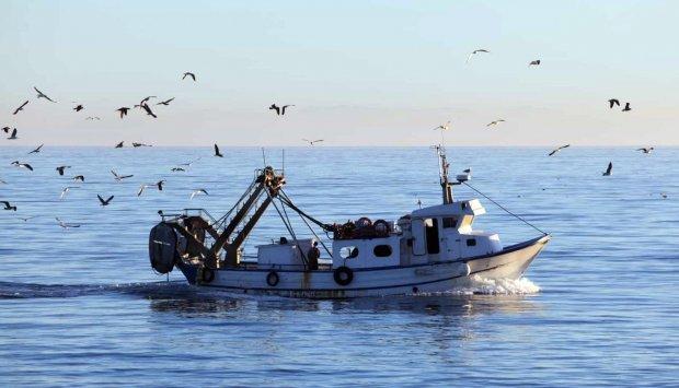 FAO ratifies Angola's declaration on illegal fishing