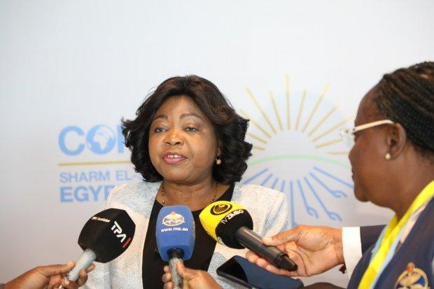 Angola makes positive balance at COP27 - Angola