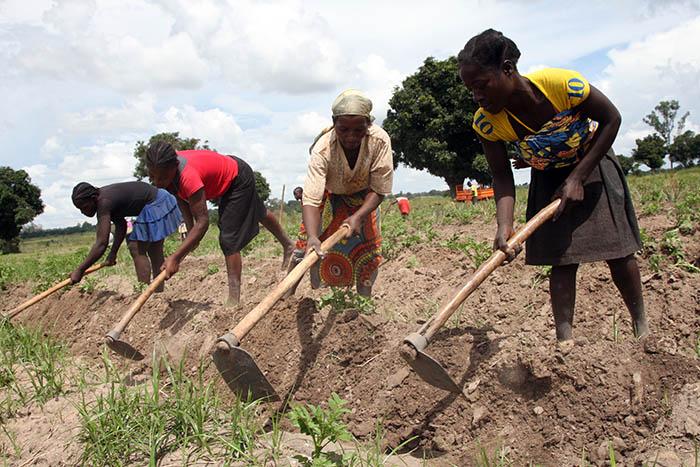 Peasants worried about irregular rains Peasants worried about irregular rains