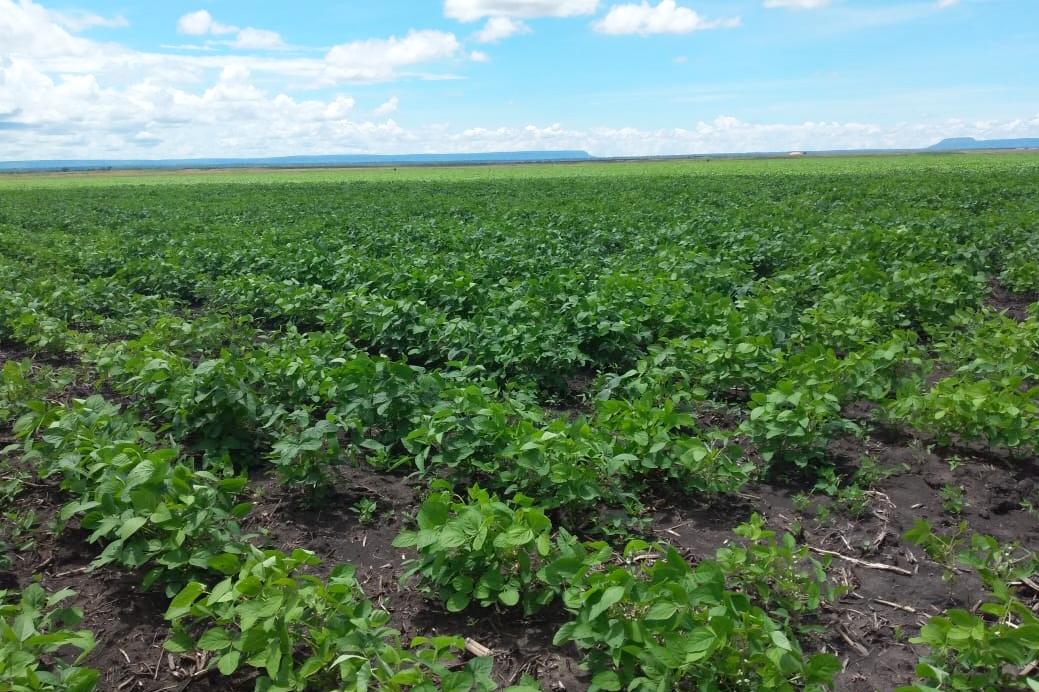 PDAC project boosts agribusiness in Cuanza Sul PDAC project boosts agribusiness in Cuanza Sul