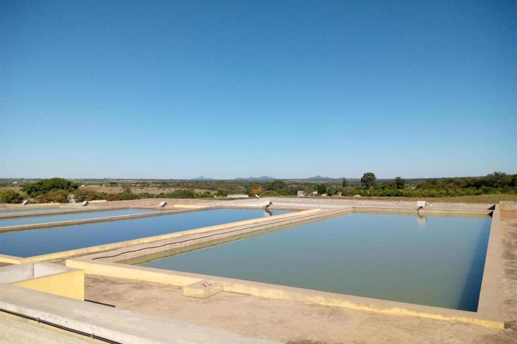 Uíge Province records increase in fish catches Uíge Province records increase in fish catches