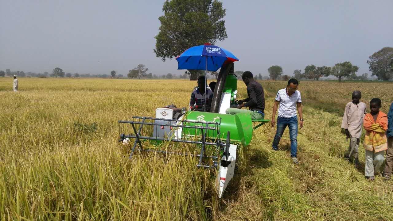 Chinese multinational in the rice production sector interested in investing in the country Chinese multinational in the rice production sector interested in investing in the country