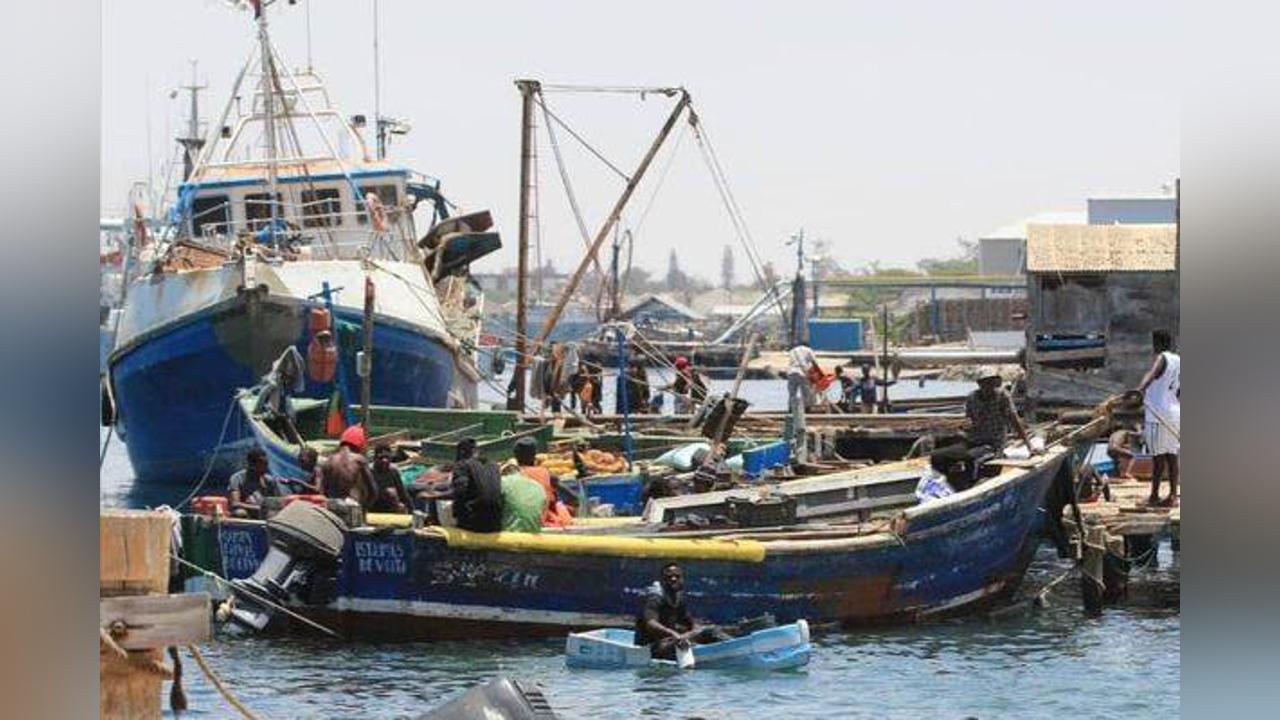Illegal capture of “beak fish” increases in Praia do Bebé Illegal capture of “beak fish” increases in Praia do Bebé
