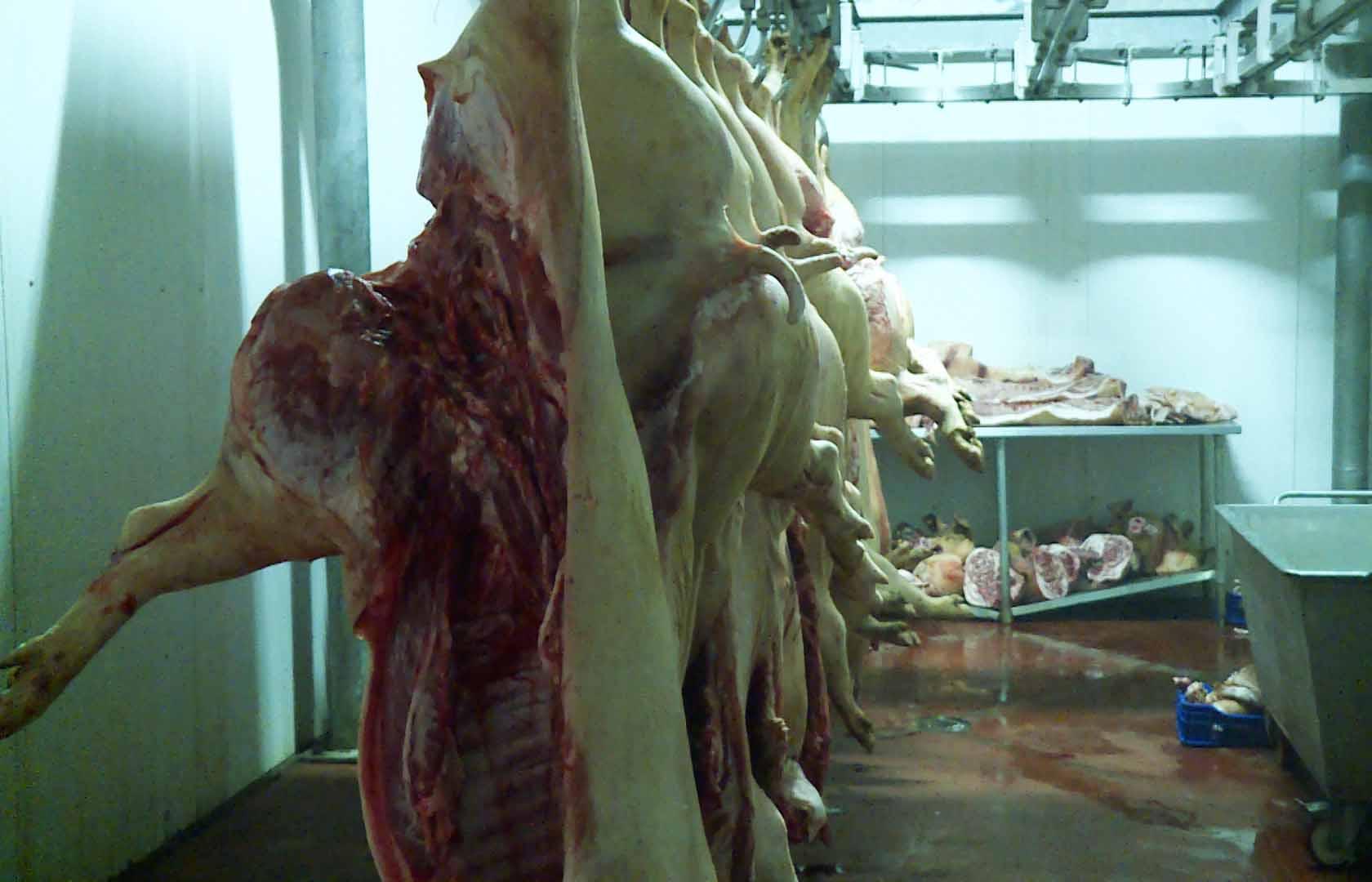 Caála without slaughterhouse for three years Caála without slaughterhouse for three years
