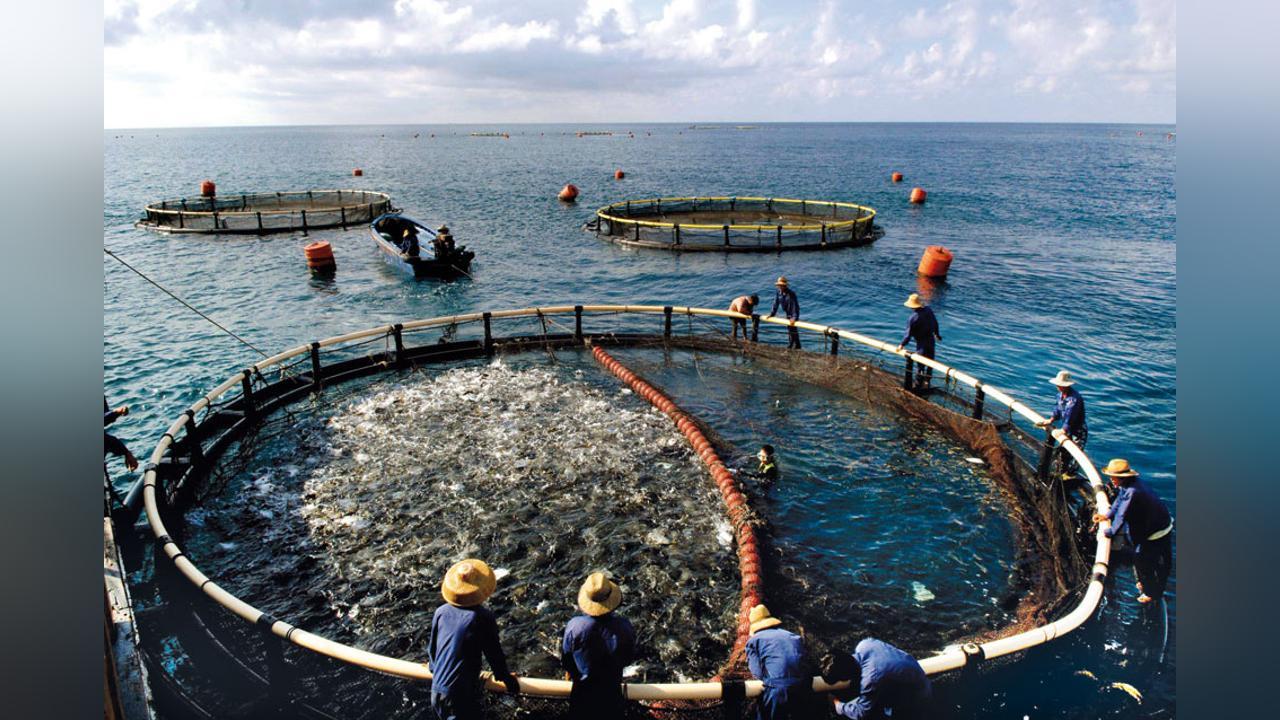 Government chooses maritime safety as a priority for the fishing sector Government chooses maritime safety as a priority for the fishing sector