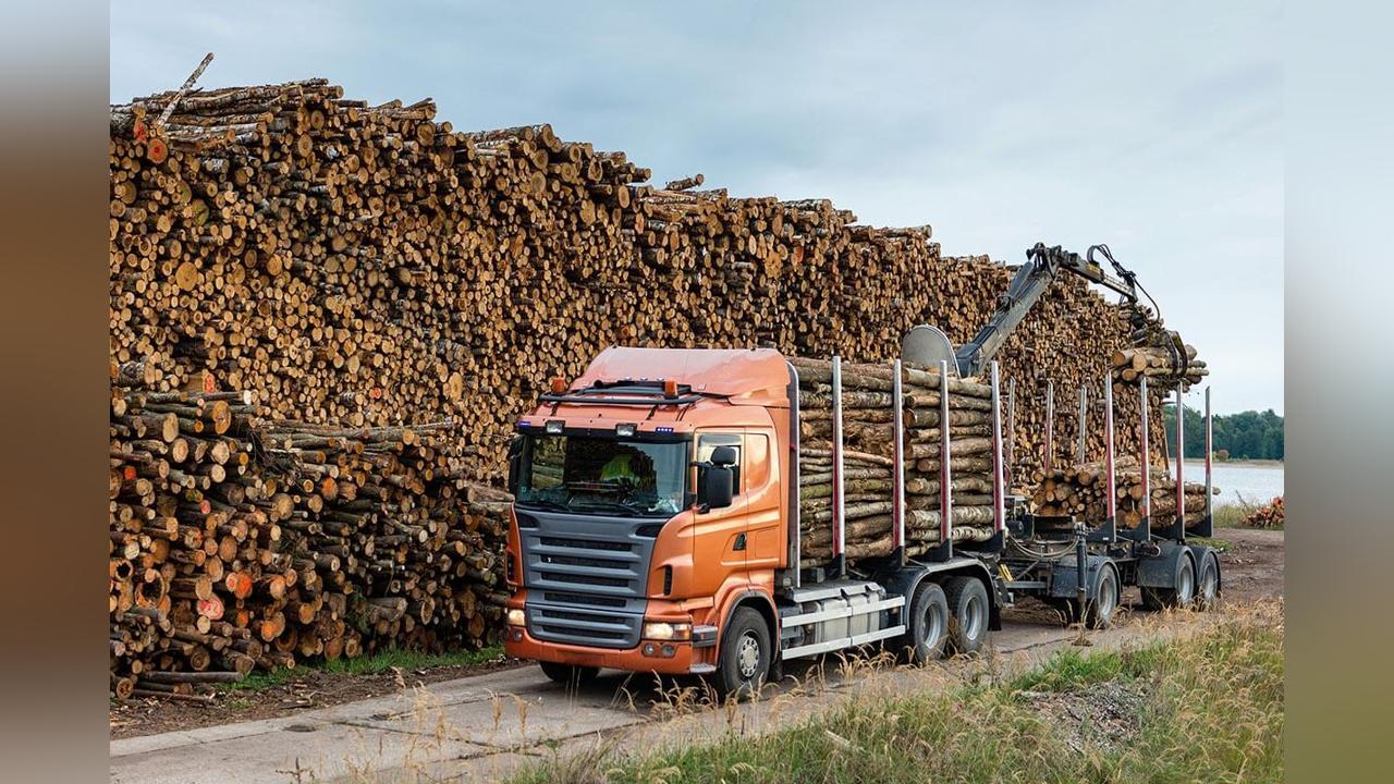 Investment in the wood sector could create 300 thousand jobs Investment in the wood sector could create 300 thousand jobs