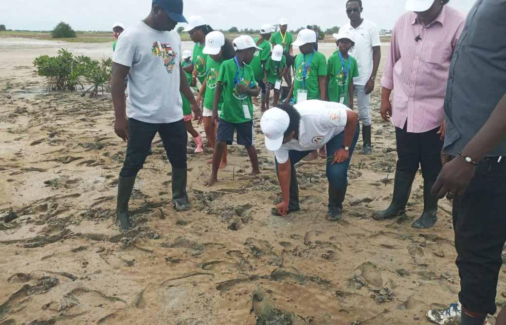 Mangrove plantation with the participation of the First Lady marks the news Mangrove plantation with the participation of the First Lady marks the news