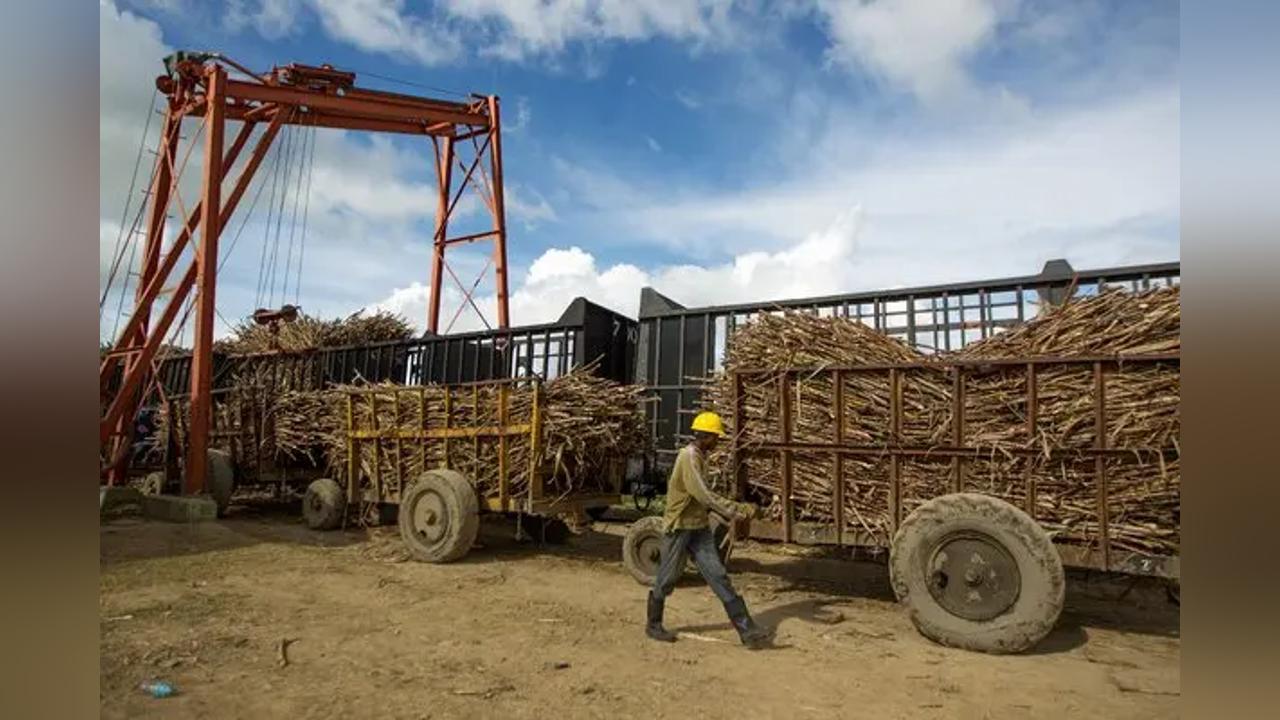 IGT in Cuando Cubango records more than a thousand labor infractions IGT in Cuando Cubango records more than a thousand labor infractions