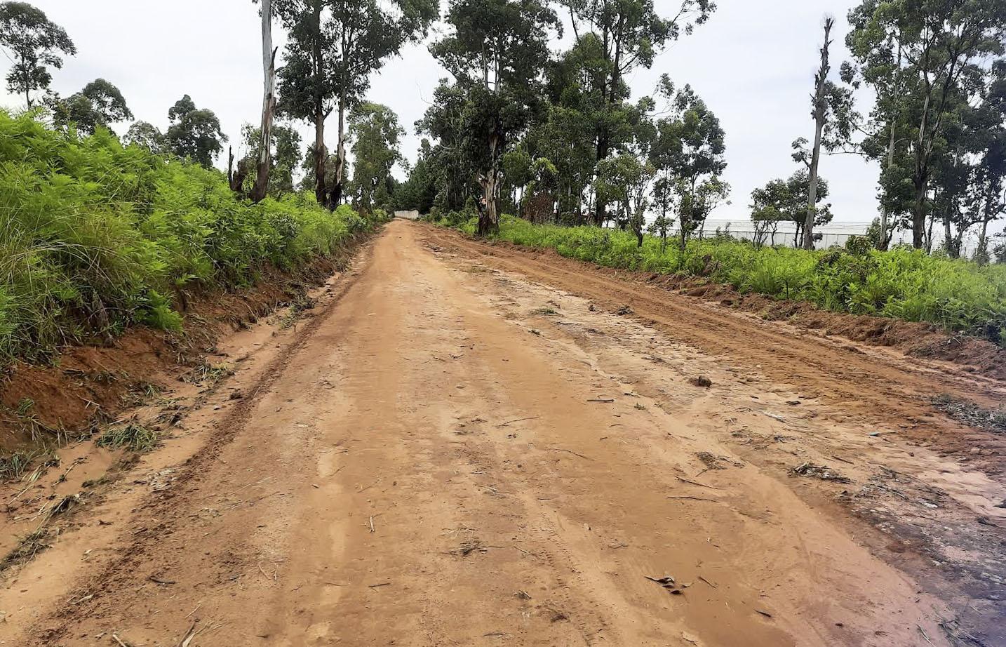 Nzeto/Kindege section benefits from earthworks - Angola