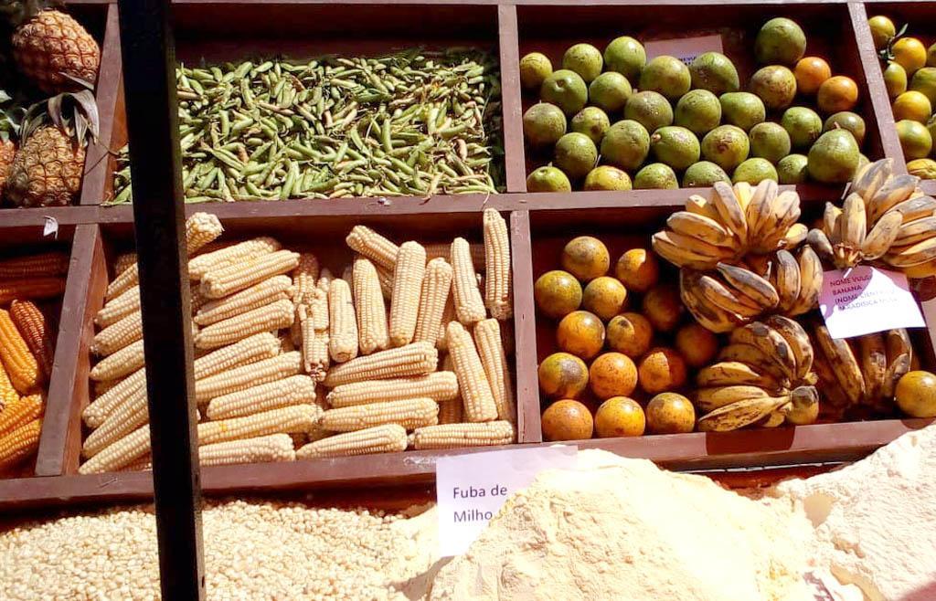 Matala Exhibits Local Production Potentiality Matala Exhibits Local Production Potentiality