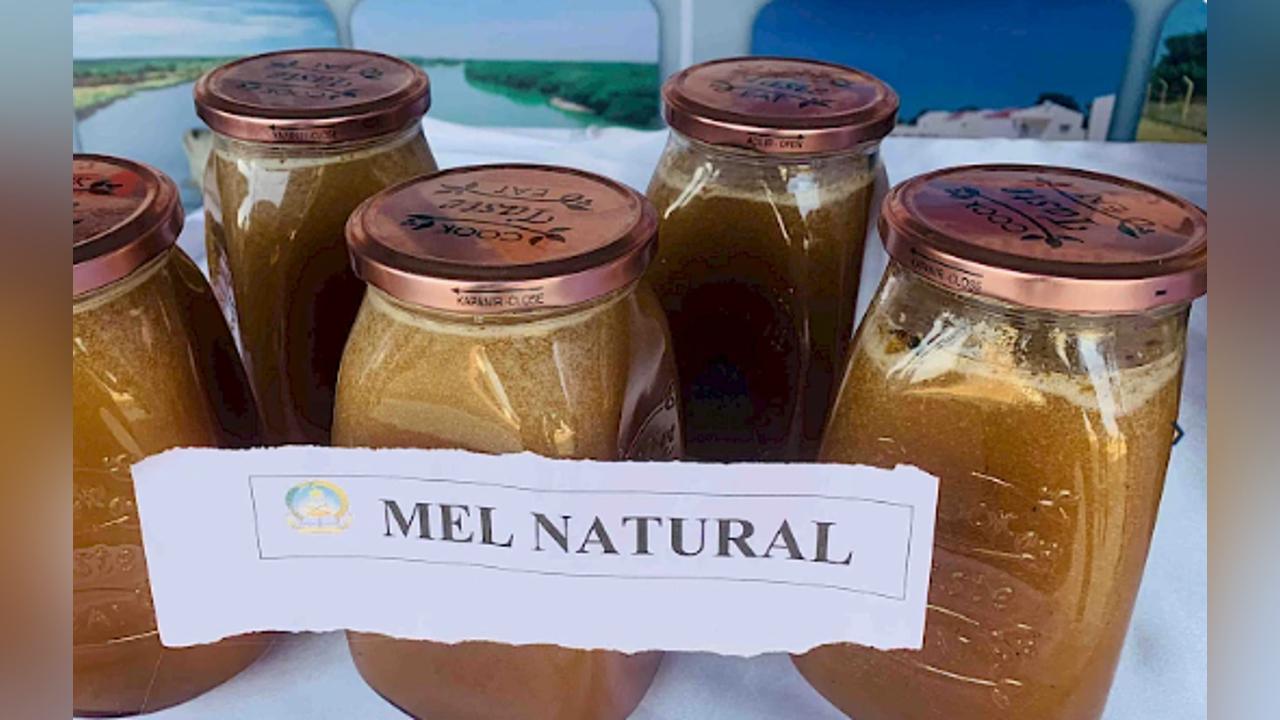 More than Six Tons of Honey Ready for Harvest in Huambo More than Six Tons of Honey Ready for Harvest in Huambo