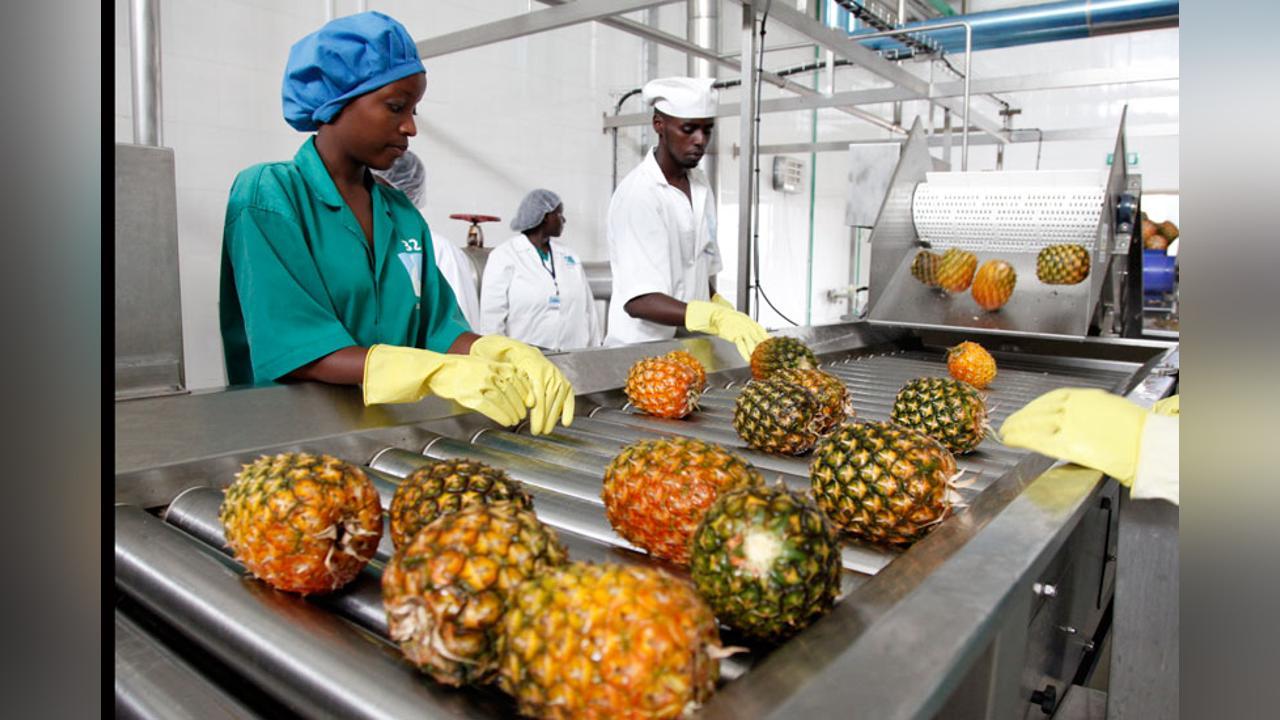 Twiga Pauses Nairobi Operations for Data-Driven Shift Twiga Pauses Nairobi Operations for Data-Driven Shift