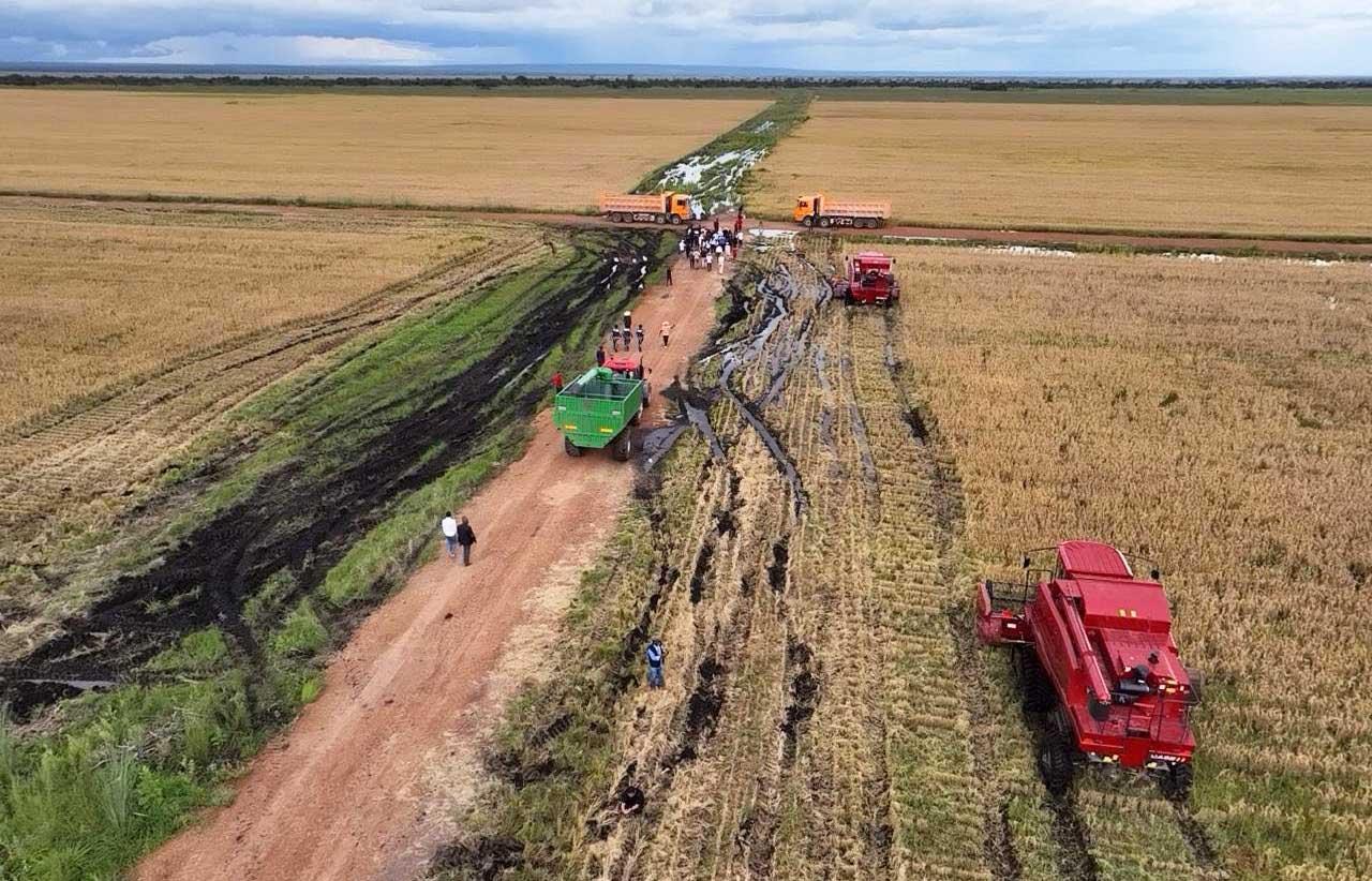 Angola Cereals’ Production Reaches 3.5 Million Tons per Year Angola Cereals’ Production Reaches 3.5 Million Tons per Year