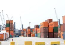 Angola Begins Exporting Avocados to EU in November Angola Begins Exporting Avocados to EU in November