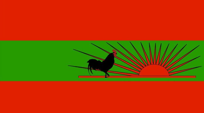 Rafael Massanga Calls for Greater Unity in UNITA Party Rafael Massanga Calls for Greater Unity in UNITA Party