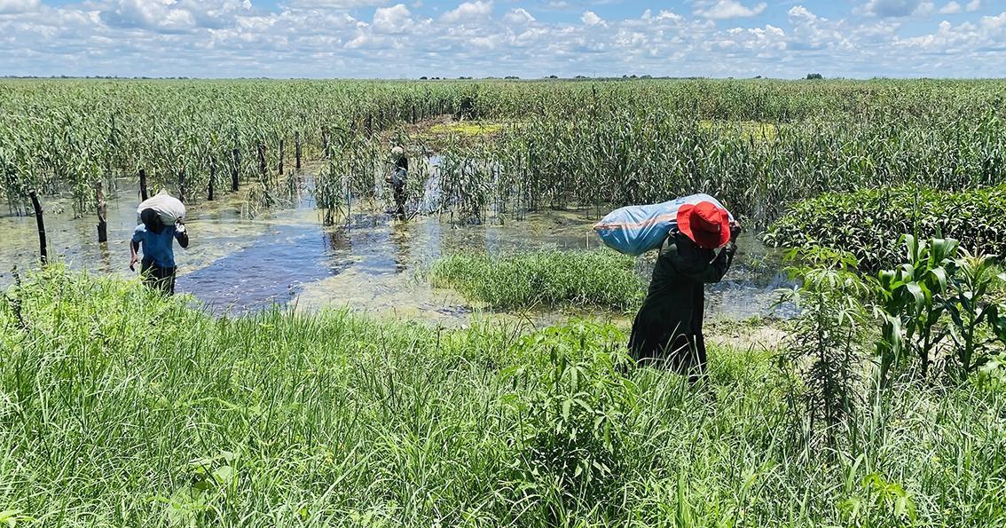 Smartphones Women’S Rights and Coupons Boosting Insurance Smartphones Women’S Rights and Coupons Boosting Insurance