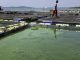 Fish Farming Growth in Lake Victoria Faces Challenges Fish Farming Growth in Lake Victoria Faces Challenges