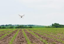 Angola Economic Team Meets IMF to Discuss Agriculture Angola Economic Team Meets IMF to Discuss Agriculture