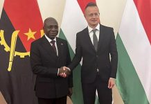 Angola and Hungary Analyze State of Cooperation Angola and Hungary Analyze State of Cooperation