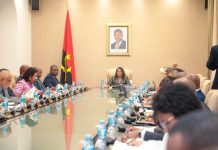 Committee Reviews Proposed Law on Angolan Languages Committee Reviews Proposed Law on Angolan Languages