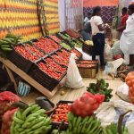 Potato Fair Kicks off in Lubango with 70 Exhibitors Potato Fair Kicks off in Lubango with 70 Exhibitors