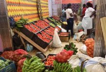 Potato Fair Kicks off in Lubango with 70 Exhibitors Potato Fair Kicks off in Lubango with 70 Exhibitors