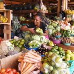 Agricultural Products Fair Generates over Akz 63 Million Agricultural Products Fair Generates over Akz 63 Million