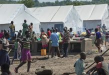 Angola Border Guard Stops 176 Illegal Immigrants Angola Border Guard Stops 176 Illegal Immigrants