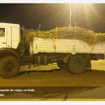 Caconda’S Monthly Goods Distribution Exceeds Thousand Tons Caconda'S Monthly Goods Distribution Exceeds Thousand Tons