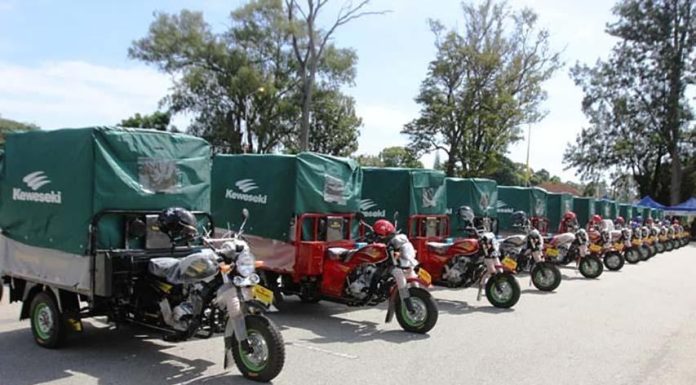 Social Protection Program Assists over 37,000 Families in Cuanza-Sul Social Protection Program Assists over 37,000 Families in Cuanza-Sul