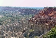 SODIAM-EP Invests USD 1.3 Million in Education SODIAM-EP Invests USD 1.3 Million in Education