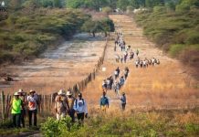 Private Sector Role in Greenhouse Gas Mitigation in Africa Private Sector Role in Greenhouse Gas Mitigation in Africa