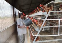 Benguela Inaugurates Poultry Production Integrated Complex Benguela Inaugurates Poultry Production Integrated Complex